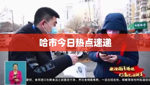 哈市今日热点速递