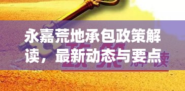 永嘉荒地承包政策解读，最新动态与要点分析