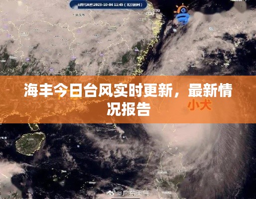 海丰今日台风实时更新，最新情况报告