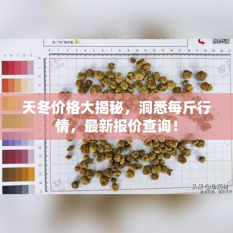 凿壁偷光