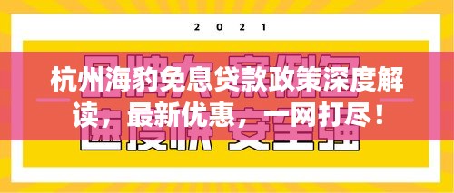 杭州海豹免息贷款政策深度解读，最新优惠，一网打尽！