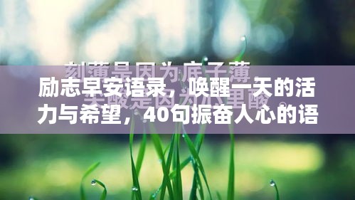 励志早安语录，唤醒一天的活力与希望，40句振奋人心的语句