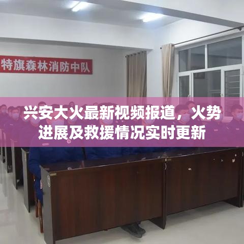 兴安大火最新视频报道，火势进展及救援情况实时更新