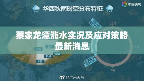 蔡家龙潭涨水实况及应对策略最新消息