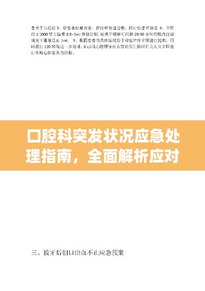 法贵必行