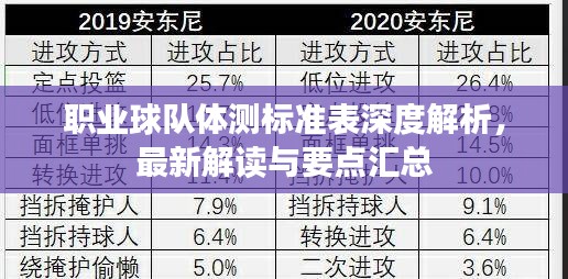 职业球队体测标准表深度解析，最新解读与要点汇总