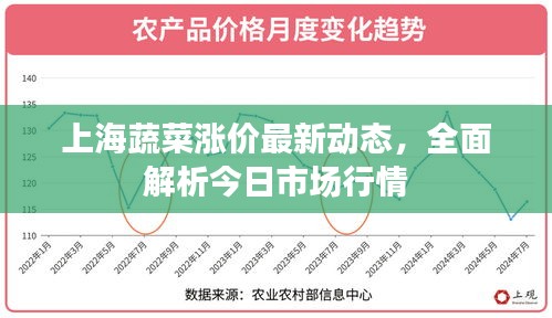 上海蔬菜涨价最新动态，全面解析今日市场行情