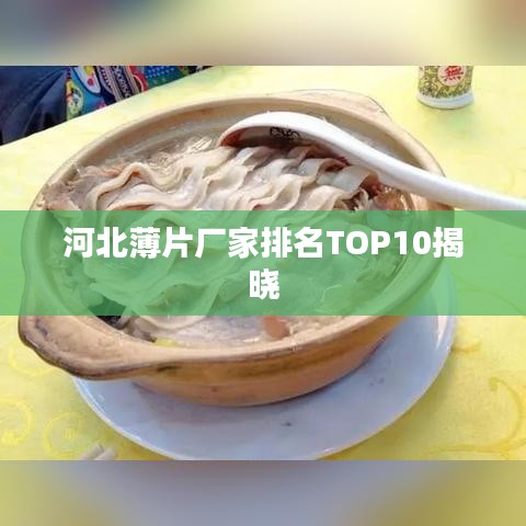河北薄片厂家排名TOP10揭晓
