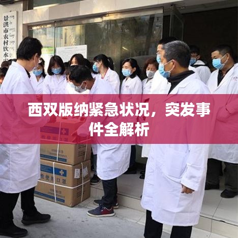 西双版纳紧急状况，突发事件全解析