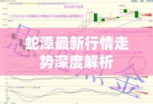 蛇潭最新行情走势深度解析