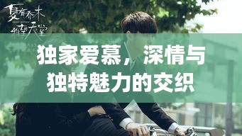 独家爱慕，深情与独特魅力的交织