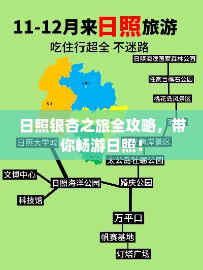 日照银杏之旅全攻略，带你畅游日照！