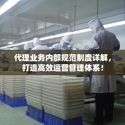 代理业务内部规范制度详解，打造高效运营管理体系！