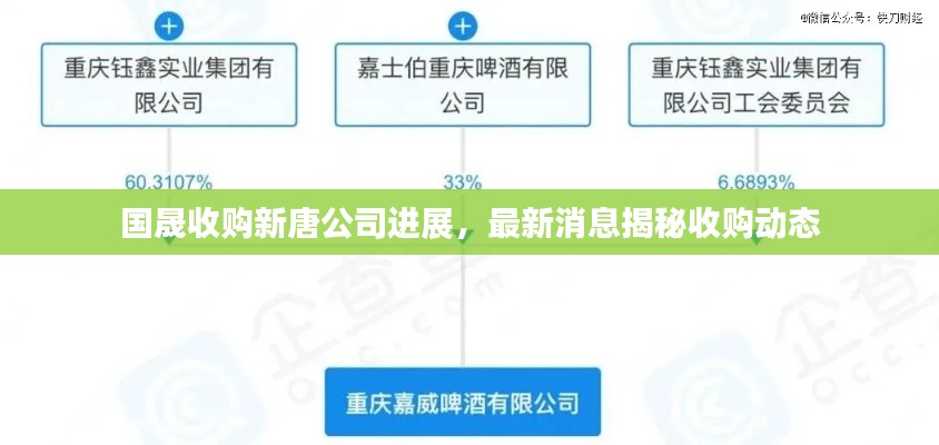 国晟收购新唐公司进展，最新消息揭秘收购动态