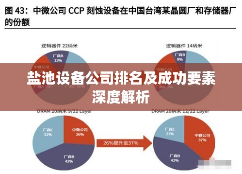 盐池设备公司排名及成功要素深度解析