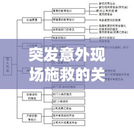 突发意外现场施救的关键考量与行动策略指南