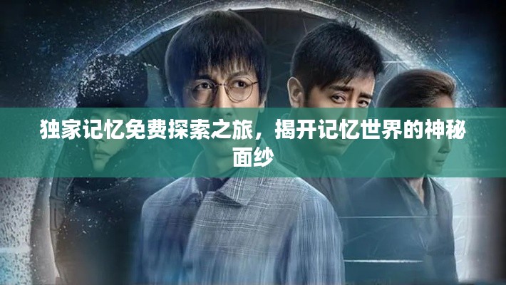 独家记忆免费探索之旅，揭开记忆世界的神秘面纱