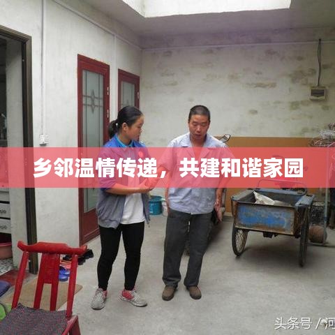 乡邻温情传递，共建和谐家园
