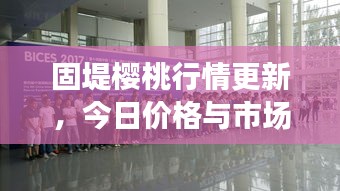 固堤樱桃行情更新，今日价格与市场动态速览