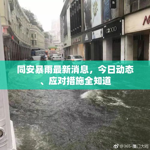 同安暴雨最新消息，今日动态、应对措施全知道