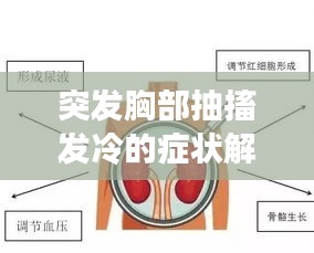 片口张舌