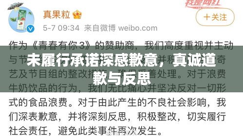 未履行承诺深感歉意，真诚道歉与反思