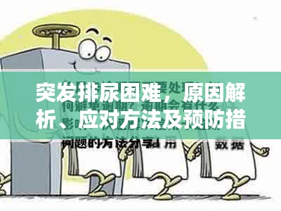 突发排尿困难，原因解析、应对方法及预防措施