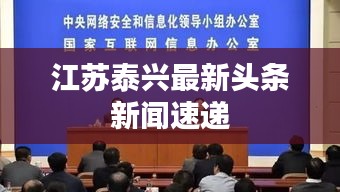 江苏泰兴最新头条新闻速递