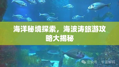 橘虞初梦