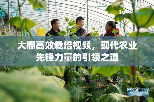 购物车 第14页
