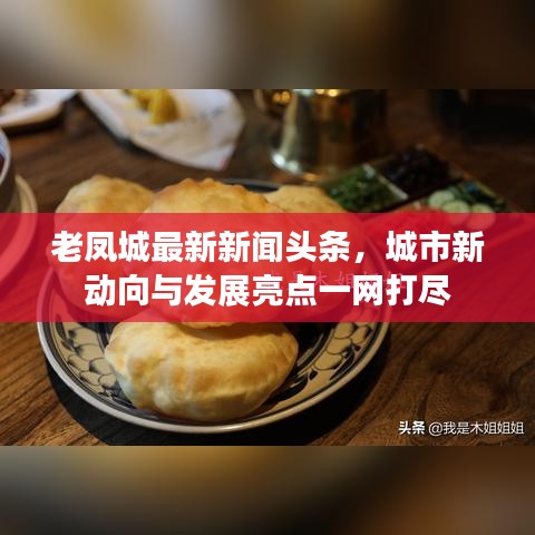 老凤城最新新闻头条，城市新动向与发展亮点一网打尽