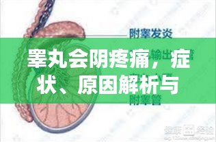 没张倒置