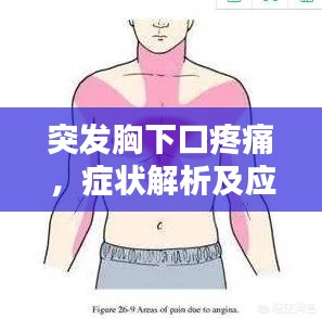 对答如流
