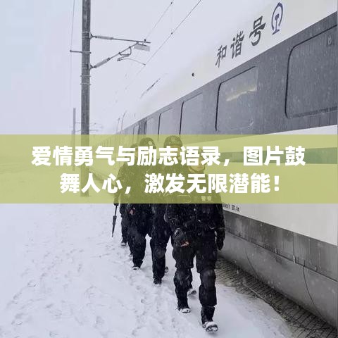 东张西望