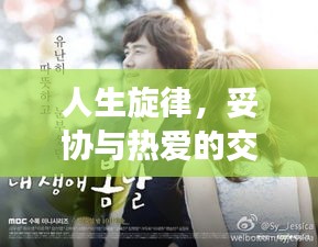 人生旋律，妥协与热爱的交织演绎
