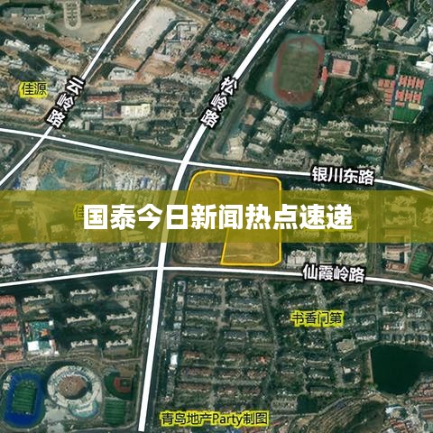 国泰今日新闻热点速递
