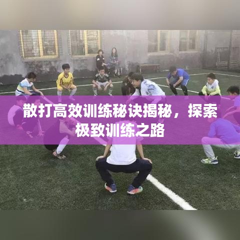 散打高效训练秘诀揭秘，探索极致训练之路