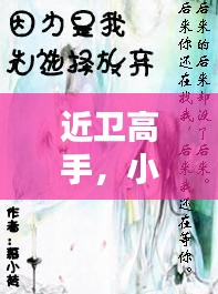 近卫高手，小说魅力一网打尽