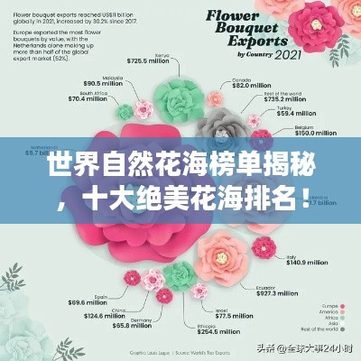 世界自然花海榜单揭秘，十大绝美花海排名！