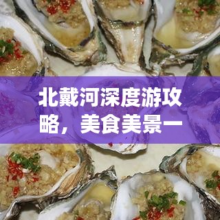 北戴河深度游攻略，美食美景一网打尽！