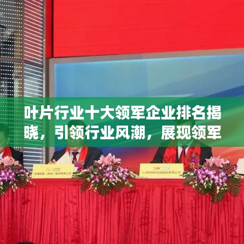 纲挈目张