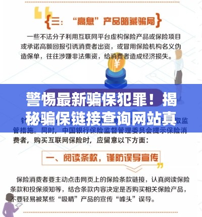 笨鸟先飞