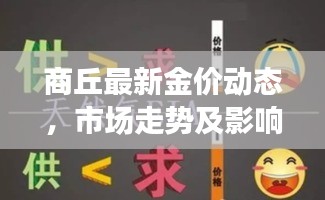 商丘最新金价动态，市场走势及影响因素深度解析