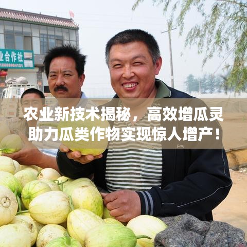 分类 第9页