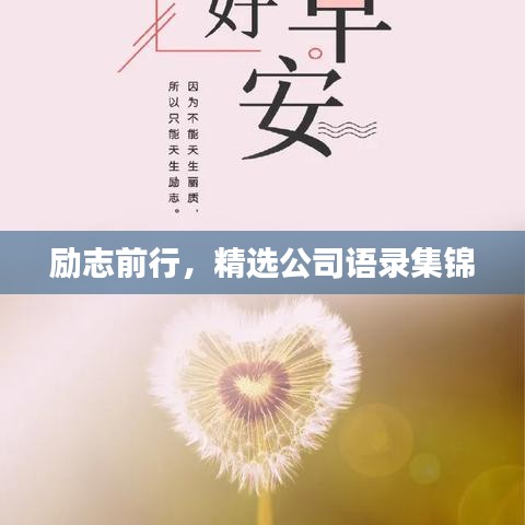 励志前行，精选公司语录集锦
