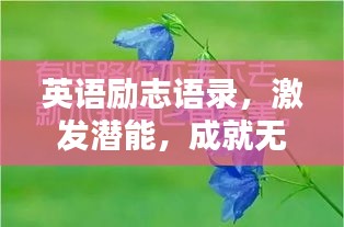 英语励志语录，激发潜能，成就无限力量