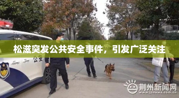 松滋突发公共安全事件，引发广泛关注