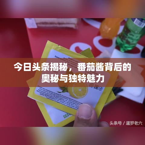 今日头条揭秘，番茄酱背后的奥秘与独特魅力