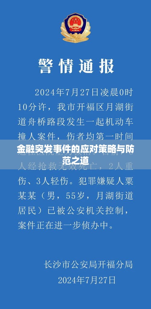 金融突发事件的应对策略与防范之道