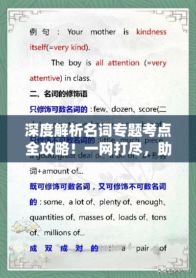 深度解析名词专题考点全攻略！一网打尽，助你考试无忧！
